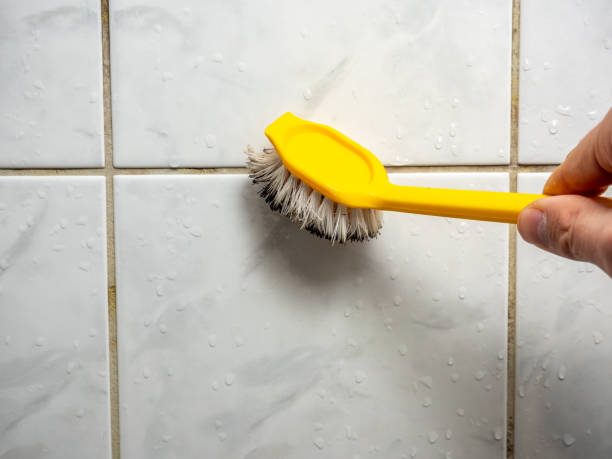 Best Professional Mold Removal  in Oak Harbor, WA