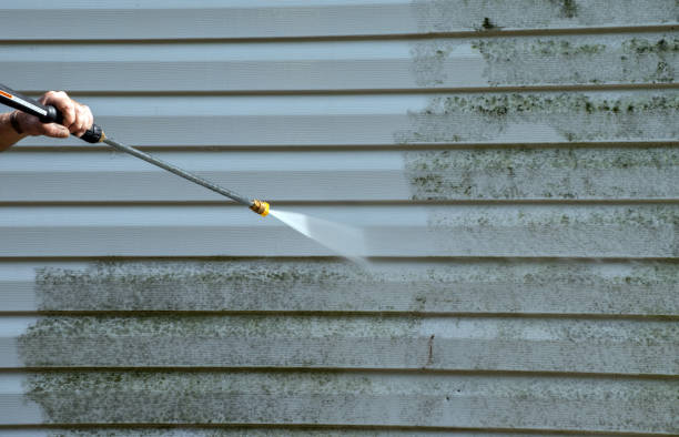 Best Mold Testing  in Oak Harbor, WA