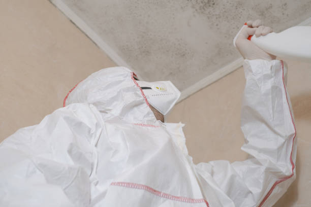 Best Commercial Mold Removal  in Oak Harbor, WA